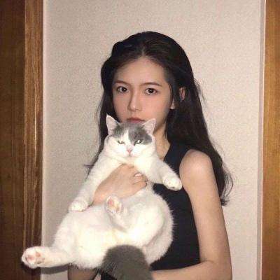 破晓之翼手游